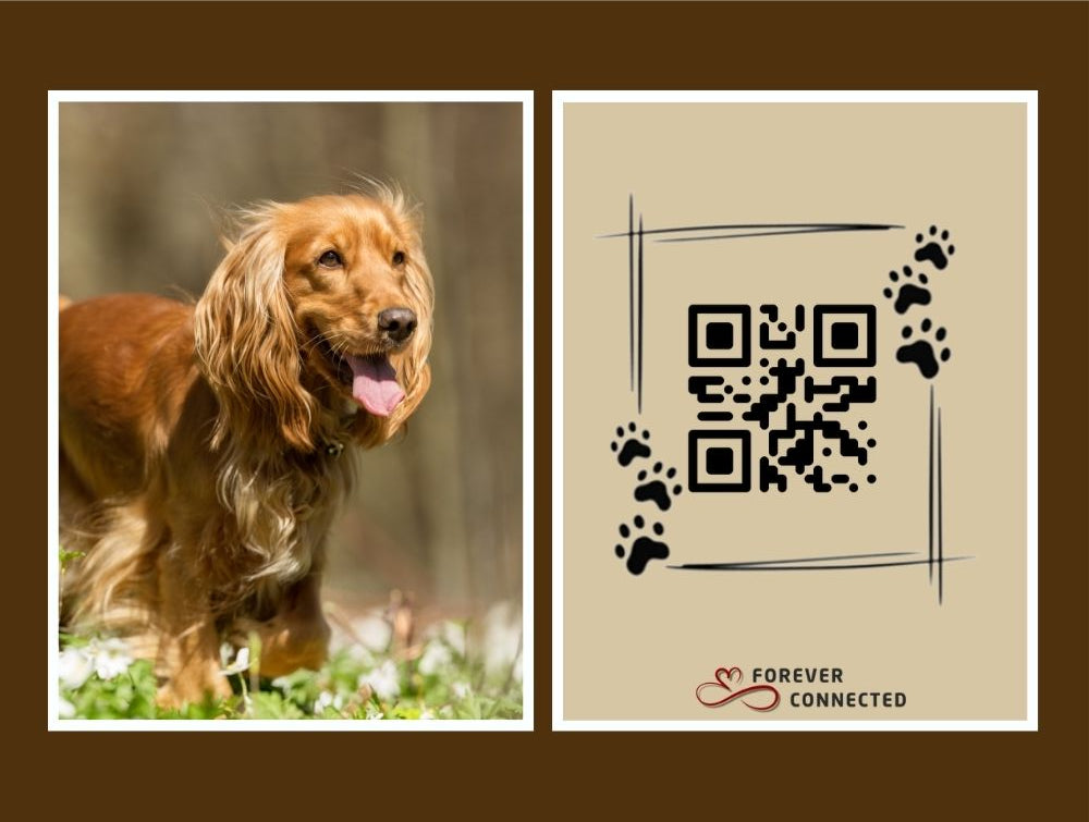 Personalized tribute tile for a Cocker Spaniel with an elegant pawprint-framed QR code design, Forever Connected memorial collection.