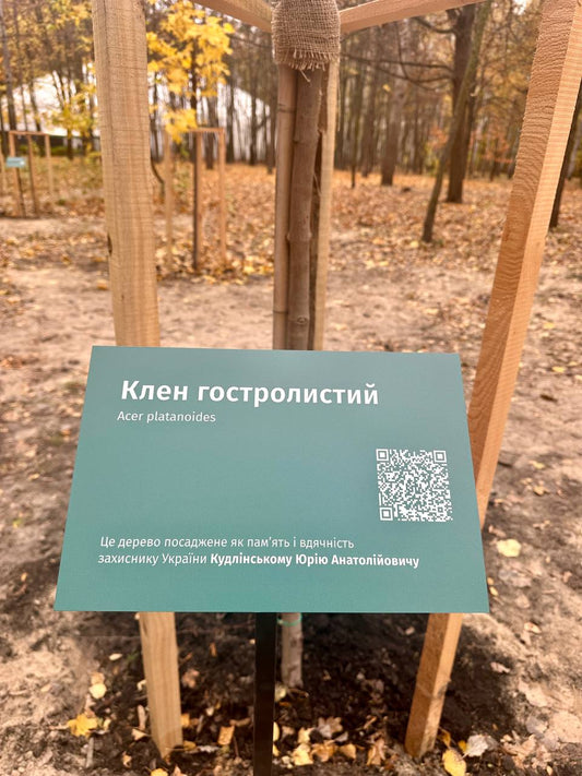 When a Tree Remembers a Name: How Ukraine Is Honouring Its Fallen with QR Codes and Living Memorials
