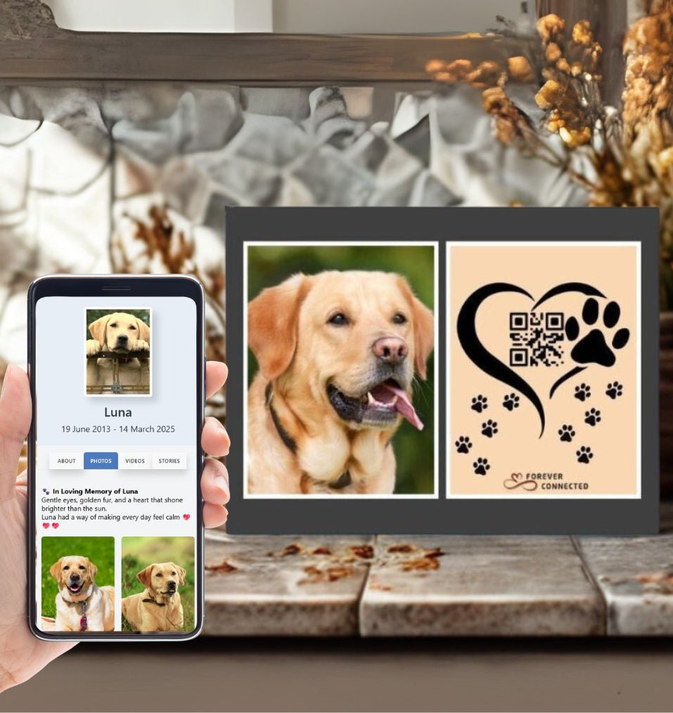 A cozy indoor setting showing a hand holding a phone with a tribute to a golden retriever dog named Luna, next to a framed photo and artistic QR code tile with paw prints and "Forever Connected" branding.