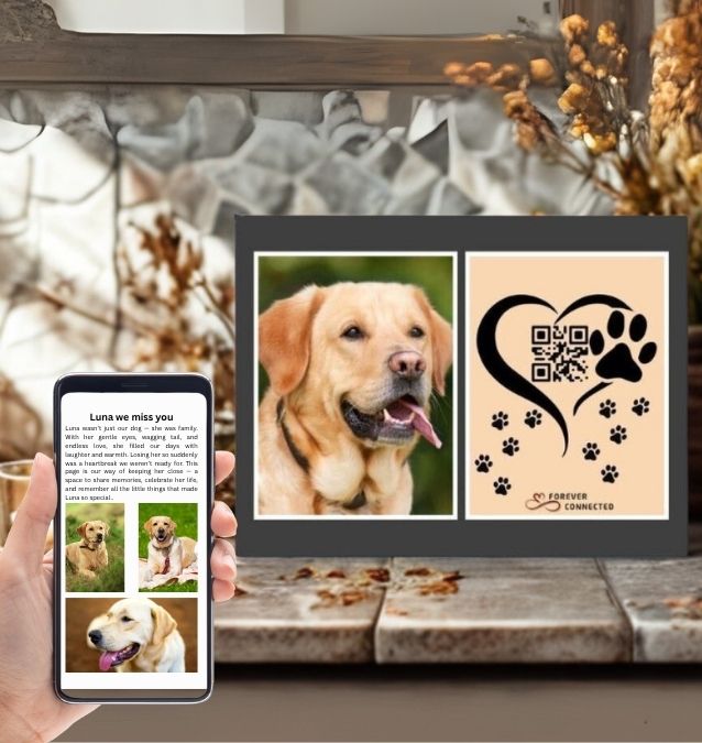 A cozy indoor setting showing a hand holding a phone with a tribute to a golden retriever dog named Luna, next to a framed photo and artistic QR code tile with paw prints and "Forever Connected" branding.