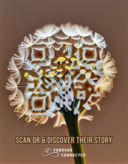 QR remembrance plaque scanned with smartphone showing online memorial page, digital tribute and memory sharing platform