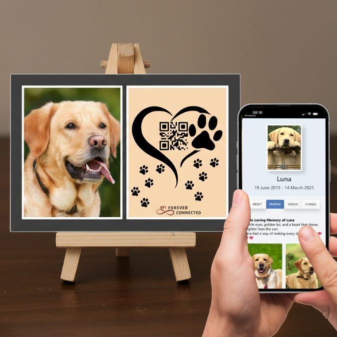 A serene memorial scene showing a framed tribute to a golden retriever with a photo and artistic QR code tile labeled "Forever Connected," beside a hand holding a phone with a memorial page open.