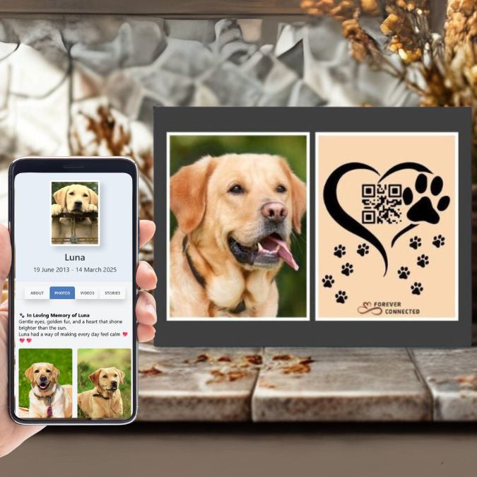 A serene memorial scene showing a framed tribute to a golden retriever with a photo and artistic QR code tile labeled "Forever Connected," beside a hand holding a phone with a memorial page open.